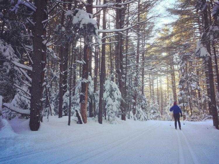 Sentiers de Ski de Fond Gai Luron – Petit Paradis – 15 Janvier