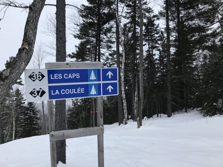 Val Saint-Côme – Ski d’avant-match LV ! – 7 février 2021